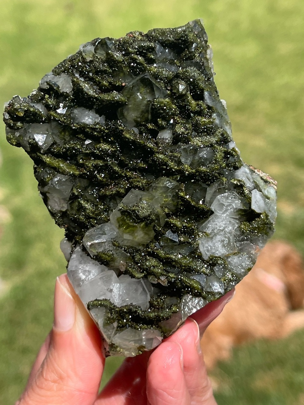 Gorgeous Green Forest Epidote on Clear Quartz